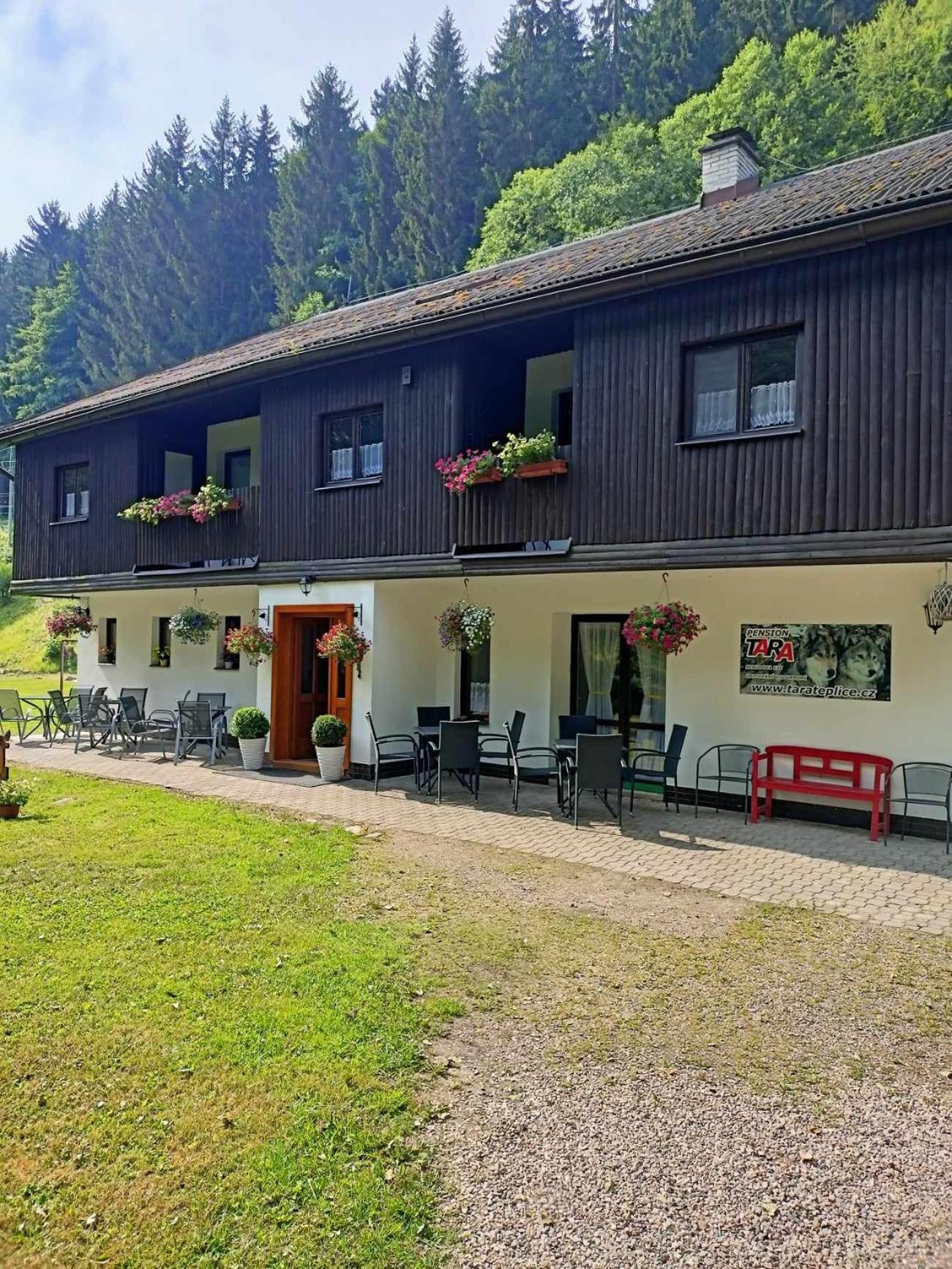 Pension Tara Теплице-над-Метуи Экстерьер фото