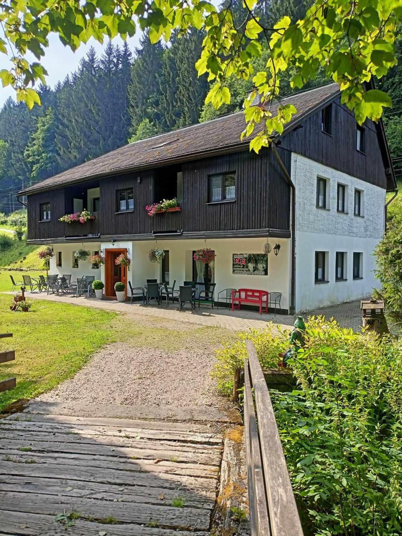 Pension Tara Теплице-над-Метуи Экстерьер фото