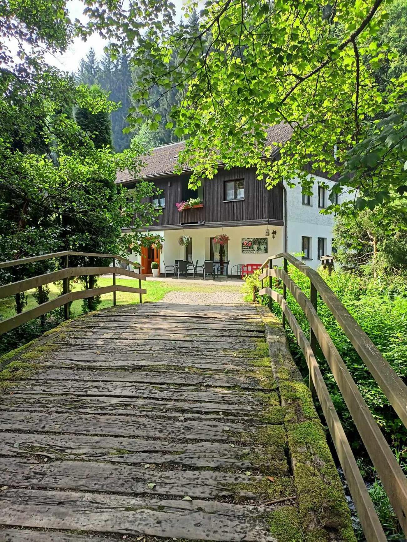 Pension Tara Теплице-над-Метуи Экстерьер фото